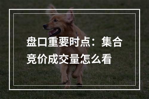 盘口重要时点：集合竞价成交量怎么看