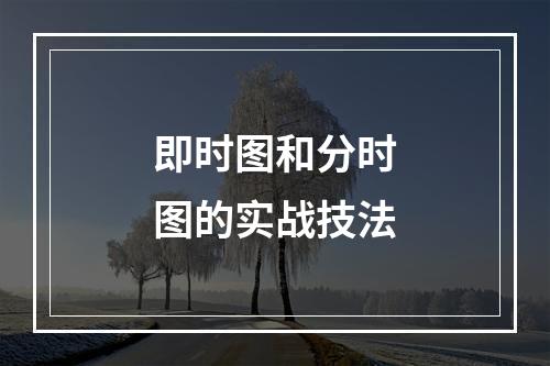 即时图和分时图的实战技法