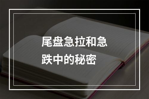 尾盘急拉和急跌中的秘密