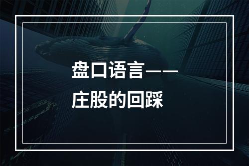盘口语言——庄股的回踩