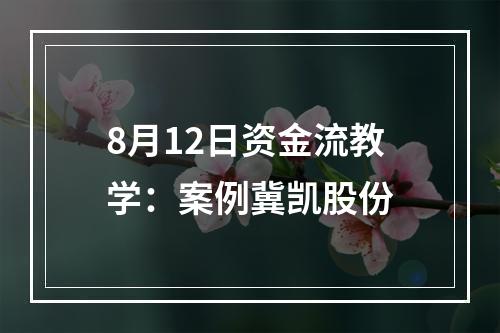 8月12日资金流教学：案例冀凯股份