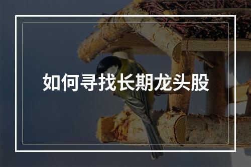 如何寻找长期龙头股