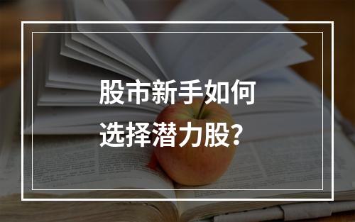 股市新手如何选择潜力股？