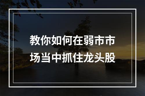 教你如何在弱市市场当中抓住龙头股