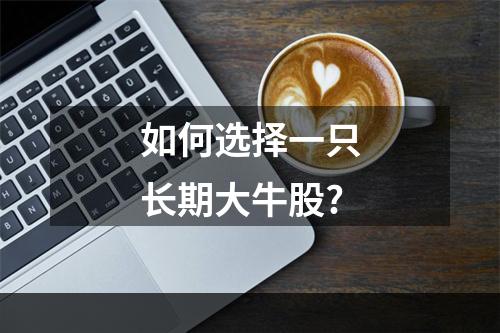如何选择一只长期大牛股?