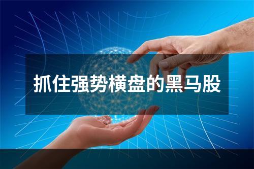 抓住强势横盘的黑马股