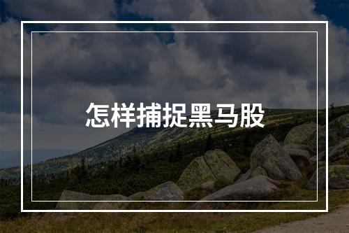 怎样捕捉黑马股