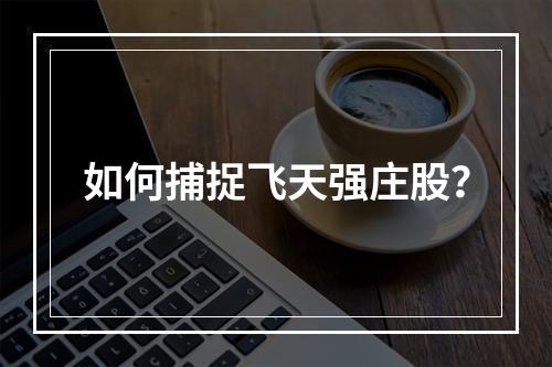 如何捕捉飞天强庄股？