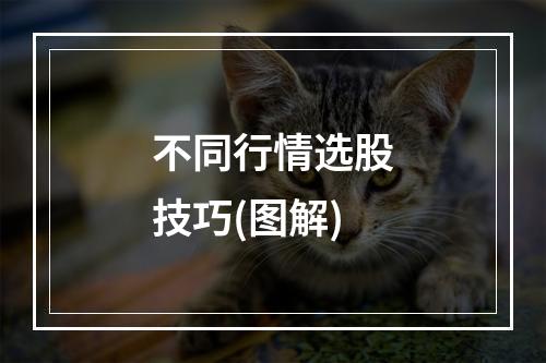 不同行情选股技巧(图解)