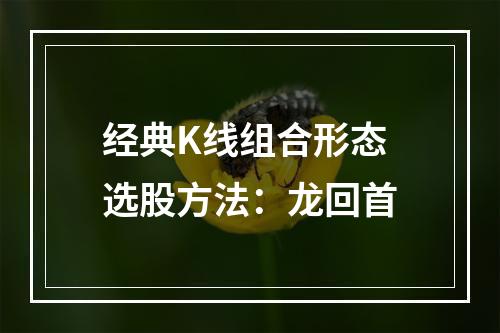经典K线组合形态选股方法：龙回首