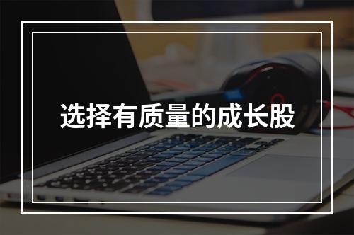 选择有质量的成长股