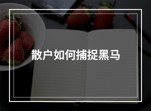 散户如何捕捉黑马