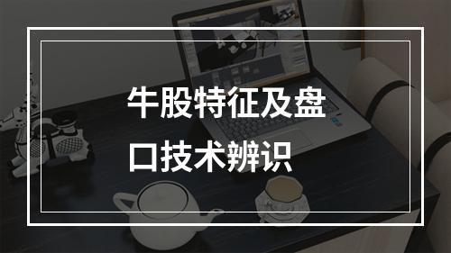 牛股特征及盘口技术辨识