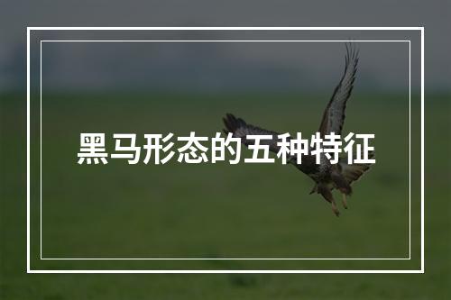 黑马形态的五种特征