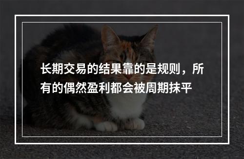 长期交易的结果靠的是规则，所有的偶然盈利都会被周期抹平