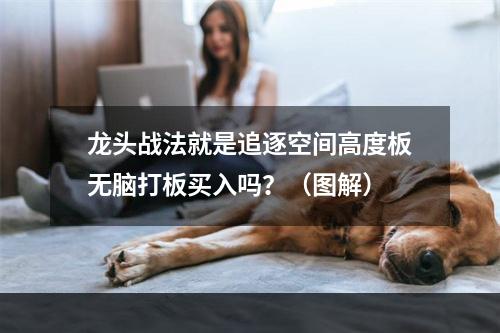 龙头战法就是追逐空间高度板无脑打板买入吗？（图解）