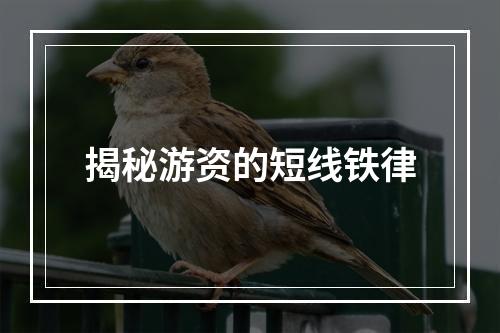 揭秘游资的短线铁律