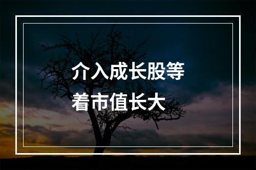 介入成长股等着市值长大