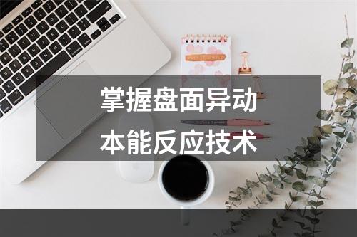 掌握盘面异动本能反应技术