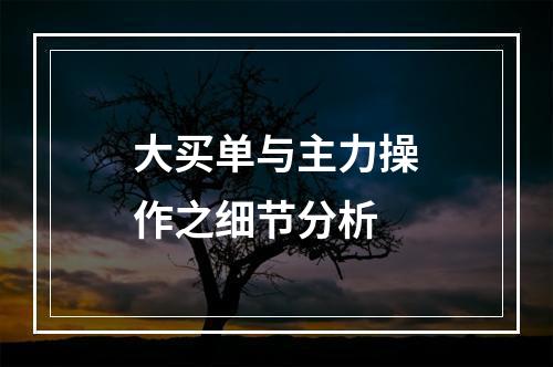 大买单与主力操作之细节分析