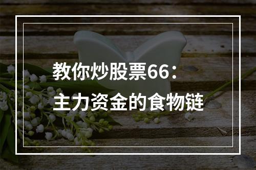 教你炒股票66：主力资金的食物链