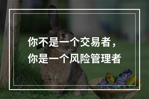 你不是一个交易者，你是一个风险管理者