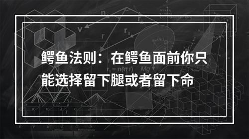 鳄鱼法则：在鳄鱼面前你只能选择留下腿或者留下命