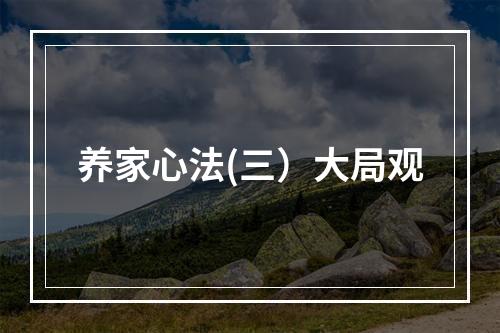 养家心法(三）大局观