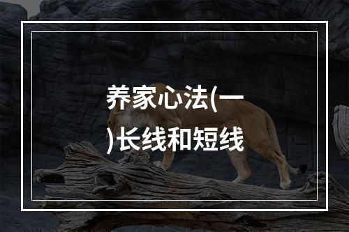 养家心法(一)长线和短线