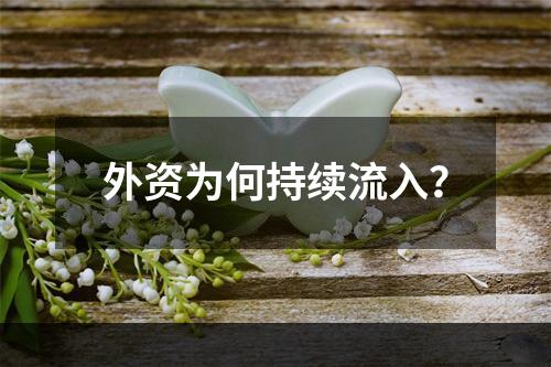 外资为何持续流入？
