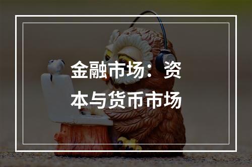 金融市场：资本与货币市场