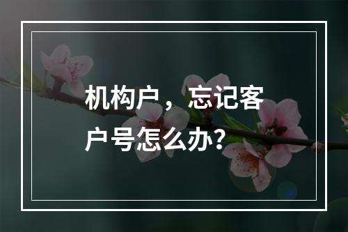 机构户，忘记客户号怎么办？