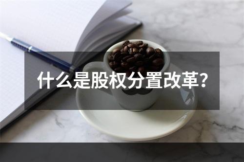 什么是股权分置改革？