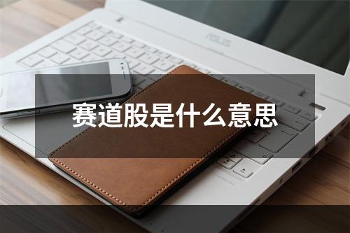 赛道股是什么意思