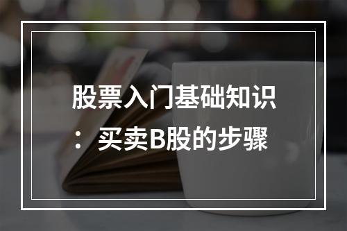 股票入门基础知识：买卖B股的步骤