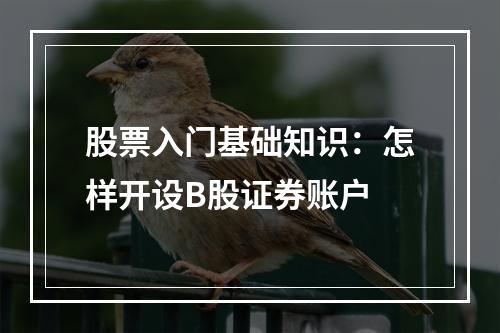 股票入门基础知识：怎样开设B股证券账户