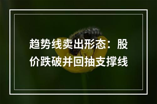 趋势线卖出形态：股价跌破并回抽支撑线