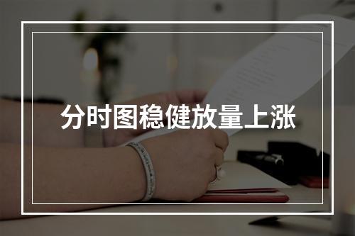 分时图稳健放量上涨