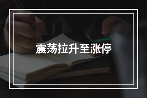 震荡拉升至涨停