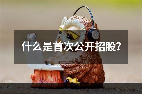 什么是首次公开招股？