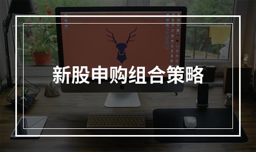 新股申购组合策略