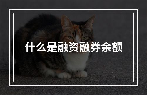 什么是融资融券余额