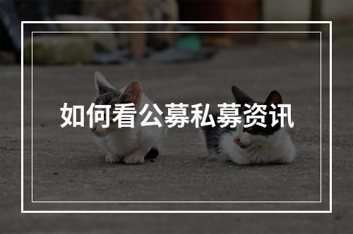 如何看公募私募资讯