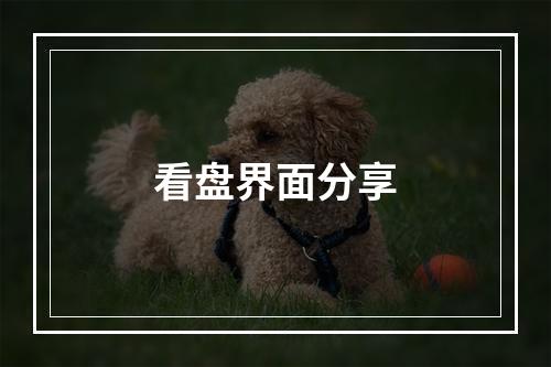 看盘界面分享