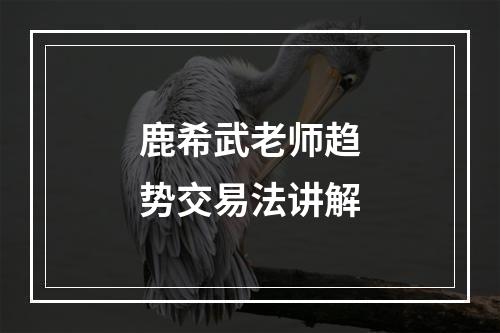 鹿希武老师趋势交易法讲解