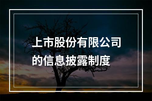 上市股份有限公司的信息披露制度