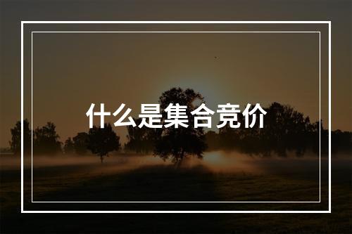 什么是集合竞价