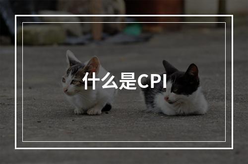 什么是CPI
