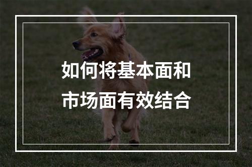 如何将基本面和市场面有效结合