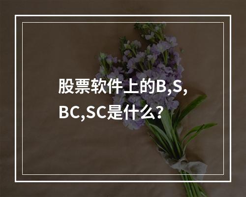 股票软件上的B,S,BC,SC是什么？